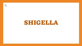 Shigella Dysenteriae Shigellosis Morphology Pathogenesis Clinical Findings Diagnosis Treatment [upl. by Avilo]