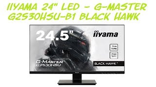 Présentation iiyama GMASTER G2530HSUB1 Black Hawk FR [upl. by Nerac801]