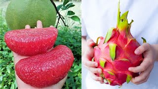 15 Exotic Fruits You Wont Believe Actually Exist [upl. by Ecargyram212]