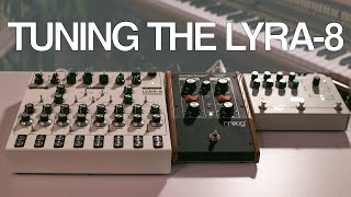 How I tune the Lyra8 [upl. by Oileduab938]