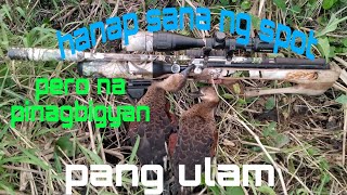 una Dali ng whistle duck RONDA pcp by AMIGOWILDHUNTER [upl. by Abla382]