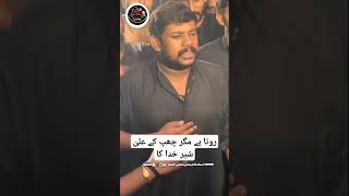 Rota ha mgar chup k duet azadarisheikhupura vairalvideo vairalshort noha sad nohay [upl. by Walton254]