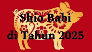 Shio Babi di tahun 2025 [upl. by Hnirt333]