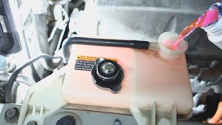 Nissan Leaf COOLANT change [upl. by Adlay]