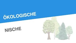 ÖKOLOGISCHE NISCHE  Biologie  Ökologie [upl. by Hetty278]