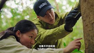 Lighting Hope For Pangolins WildAids Pangolin Conservation PSA With Wang Yibo [upl. by Standing]