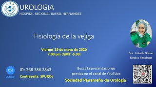 Fisiología de la vejiga [upl. by Siocnarf]