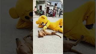 Teddy with Dog😱mrcrazy teddycomedy funnyshortsGulabi Sadi · Sanju Rathod amp G  SPXRK [upl. by Adimra995]