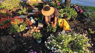 Zone 9B Gardening Proven winners Solenia Begonia Coneflower amp Dahlia 🌞 Summer Plants [upl. by Pradeep]