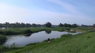 Oderangeln mal anders  In den Restlöchern nach dem Hochwasser [upl. by Teryl]