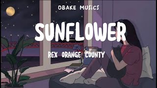 Rex Orange County Sunflower live lyrics [upl. by Elicia]