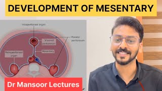 Development of Mesentery  Anatomy Dr Mansoor Malayalam Lecture [upl. by Tewfik82]