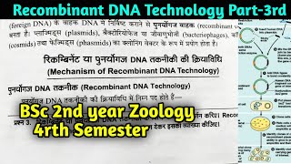 Mechanism of Recombinant DNA Technology in hindi  BSc 2nd year Botany 4rth Semester [upl. by Llehsyt]