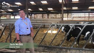 Agriculture Virtual Open Day Talk with Jack McDill [upl. by Dene273]