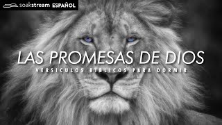 Las Promesas de Dios  Versiculos Biblicos Para Dormir [upl. by Devlen]