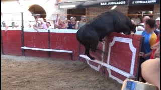 Toro de Pedro Domínguez se mete en burladero en Cadreita 23 julio 2022 [upl. by Liagaba]