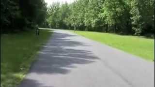 Tuckahoe State Park Campground Review Part 1 [upl. by Adnovay]