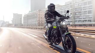 TEST DRIVE BENELLI LEONCINO 250 [upl. by Jurkoic]