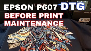 Helios DTG Epson SC P600 P607 Before Print Daily Quick Maintenance [upl. by Lissak886]