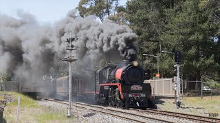 Australian steam locomotive R766 hauling quotTHE PICNIC TRAINquot to Moss Vale  October 2024 [upl. by Wadell497]