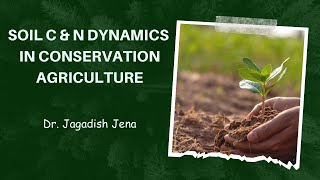 Carbon amp Nitrogen dynamics in conservation agriculture  Conservationagriculture soilhealth [upl. by Fortunio]