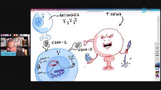 Epstein Barr Virus EBV Serology [upl. by Grane838]