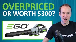 BEST Battery Powered Blower EGO LB6504 56V Blower Review [upl. by Aninaj]