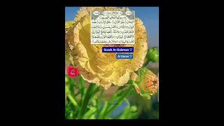 Surah ArRahman ♡  Al Quran ♡  The Straight path  صراط المستقيم [upl. by Einaoj48]