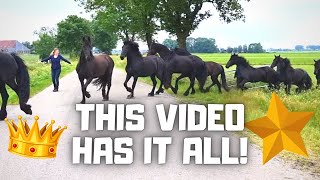 This video has it all  Friesian Horses [upl. by Dania]