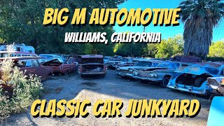 Classic Car Junkyards Big M Automotive Tour California Vintage MoPar Ford and More Dismantler [upl. by Eyaj]