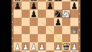 Chess Openings  Colorado Gambit [upl. by Sumer238]