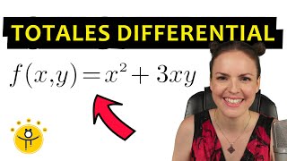 Totales Differential berechnen – Beispiel vollständiges Differential [upl. by Lennon]