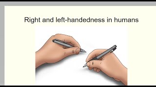 Right and left handedness in humans [upl. by Rosene]