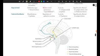 Limbic System amp Dopaminergic Pathways  USMLE First Aid Step 1 [upl. by Corydon73]