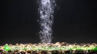 Improve Aquarium Aeration With the Elite Bubble Disk DrsFosterSmith [upl. by Lempres370]