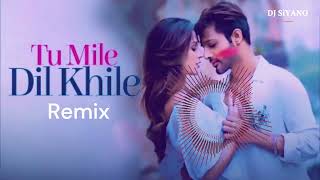 Tum Mile Dil KhileremixSiyanoRaj Barman [upl. by Arodoeht941]