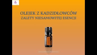 Kadzidłowiec  olejek eteryczny doTERRA Boswelia [upl. by Raimes]