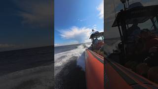 Whale watching on the St Lawrence River Quebec [upl. by Itagaki]