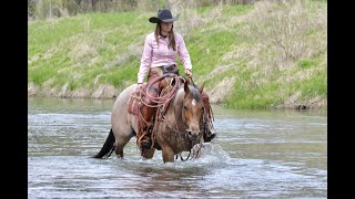 Sweet’s Highlight Video  2018 AQHA Mare offered June 17th cowgirlcadillacshorsesale in Sheridan WY [upl. by Falzetta]