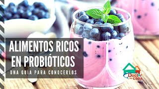 Alimentos que contienen probióticos [upl. by Shawnee952]