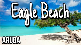 Easy Travel Guide  Eagle Beach  Aruba [upl. by Aurelia]