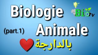 Biologie animale part 1  les protozoaires [upl. by Oneill387]