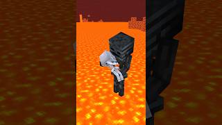 HELP Save baby skeleton Wither X Skelly Pillagers attack Past Lives  Minecraft Shorts [upl. by Shorter]