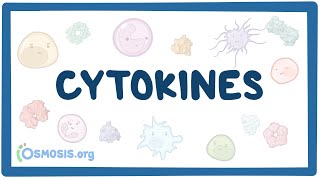 Cytokines [upl. by Sinnek]