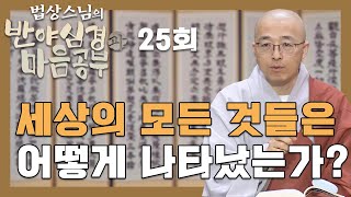 불교의 관점에서 바라본 만물의 발생  법상스님의 반야심경과 마음공부 25회 [upl. by Anavrin]