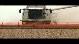 CLAAS LEXION 580 World Record  2008 [upl. by Randolph]