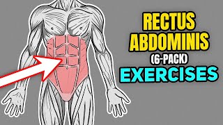 How to Strengthen Your Rectus Abdominis 6Pack Muscle [upl. by Assena]