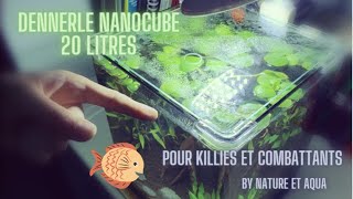 Aquarium Dennerle Nanocube 20 litres  Pour poissons combattants et Killies [upl. by Alleinad]