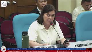 Committee on Appropriations  Budget BriefingHearings of the FY 2025 Proposed Budget OVP [upl. by Ogden829]