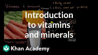 Introduction to vitamins and minerals  Biology foundations  High school biology  Khan Academy [upl. by Silber51]